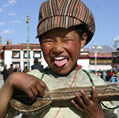 tibet_mustang_hello