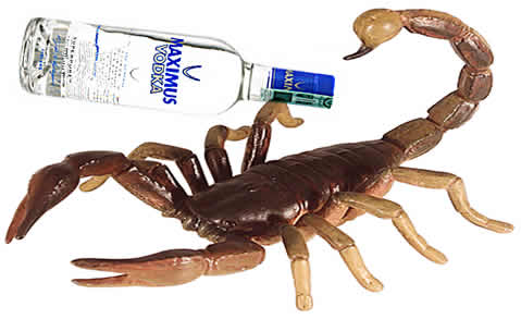 scorpion-vodka