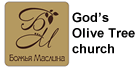 Olive Tree church