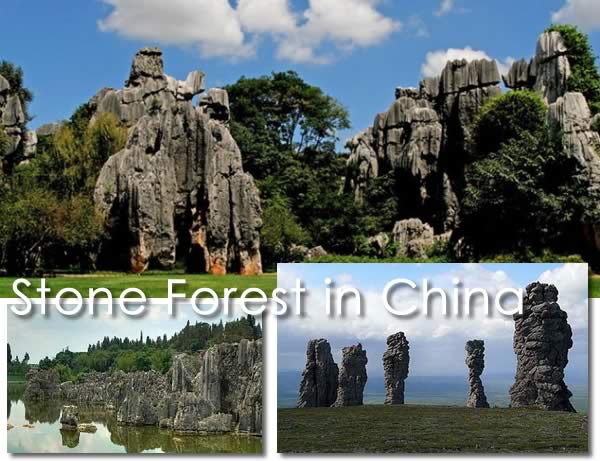 Stone Forest China