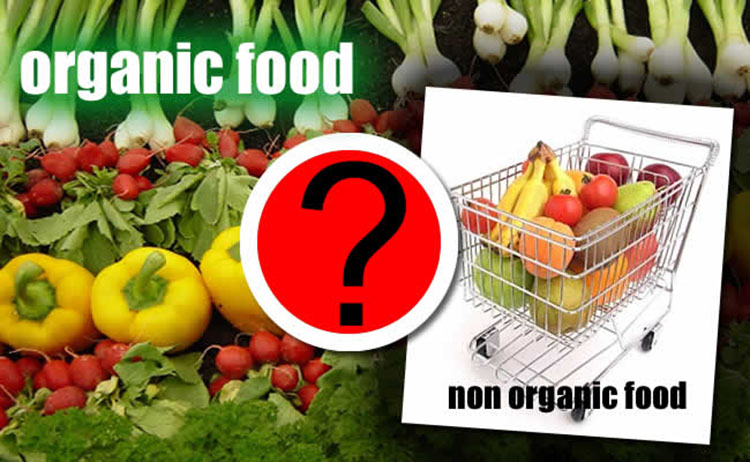 organic food