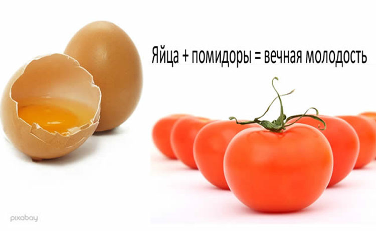 tomatos eggs