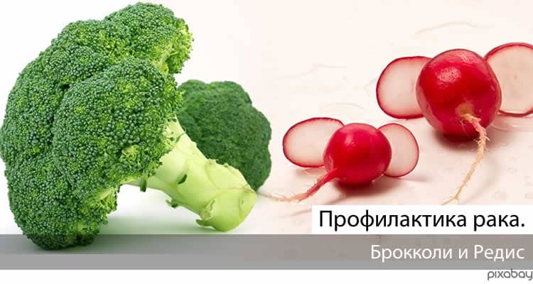 broccoli radish