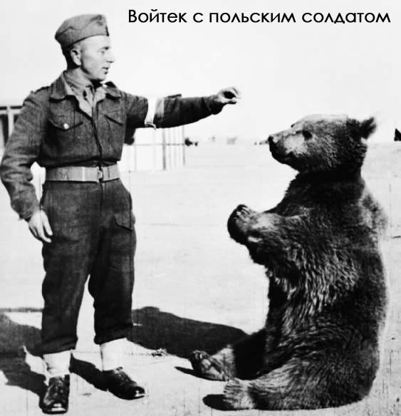 Wojtek2