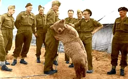 Wojtek4