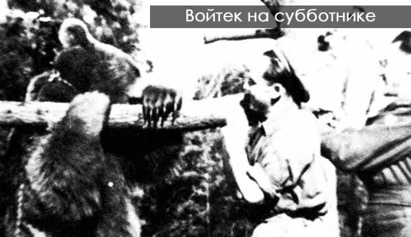 Wojtek6