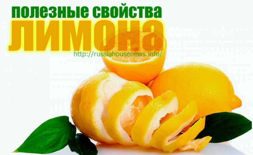 Удивительные и полезные свойства лимона