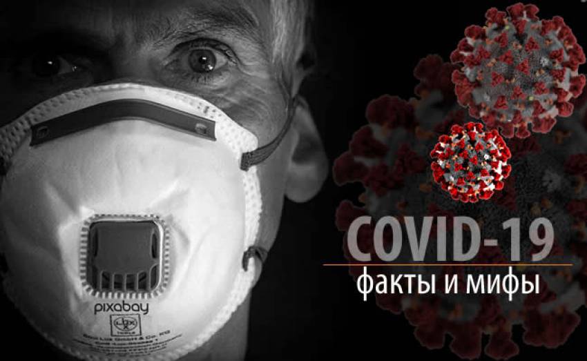 Факты и мифы о коронавирусе COVID-19