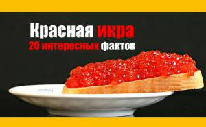 Красная икра