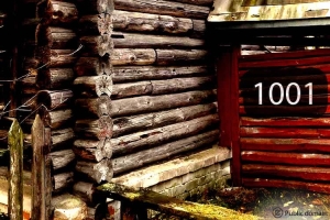 Илья Ильф и Евгений Петров. 1001-я деревня