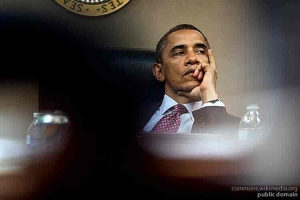  U.S. federal government, it is in the public domain