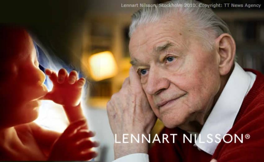 Lennard Nilsson: Таинство зарождения человеческой жизни (фото)