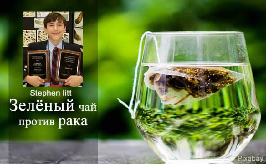 Зелёный чай против рака