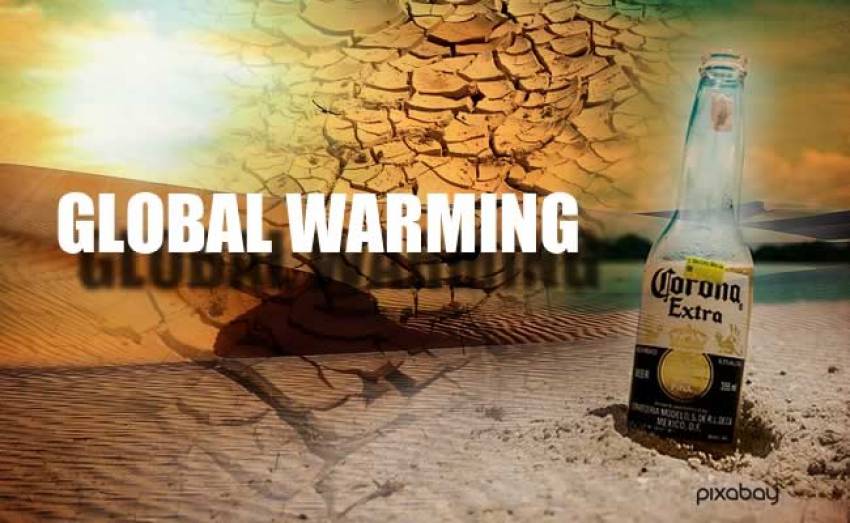 Глобальное потепление лишит людей дешевого пива
