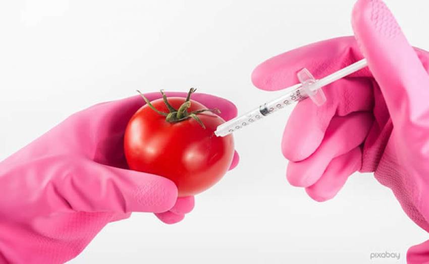 3 Simple Ways to Tell GMO From Organic Foods