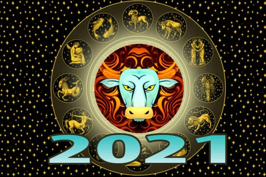 Гороскоп для знаков Зодиака на 2021-й: Прогноз на год Быка
