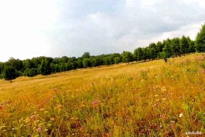 Есть ли у России будущее? Диагностика