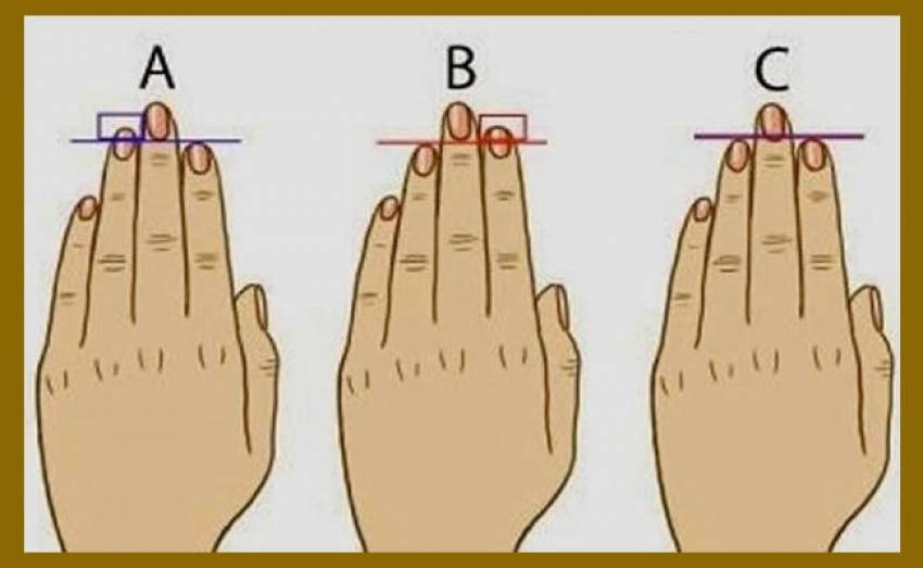 Как узнать характер по длине пальцев