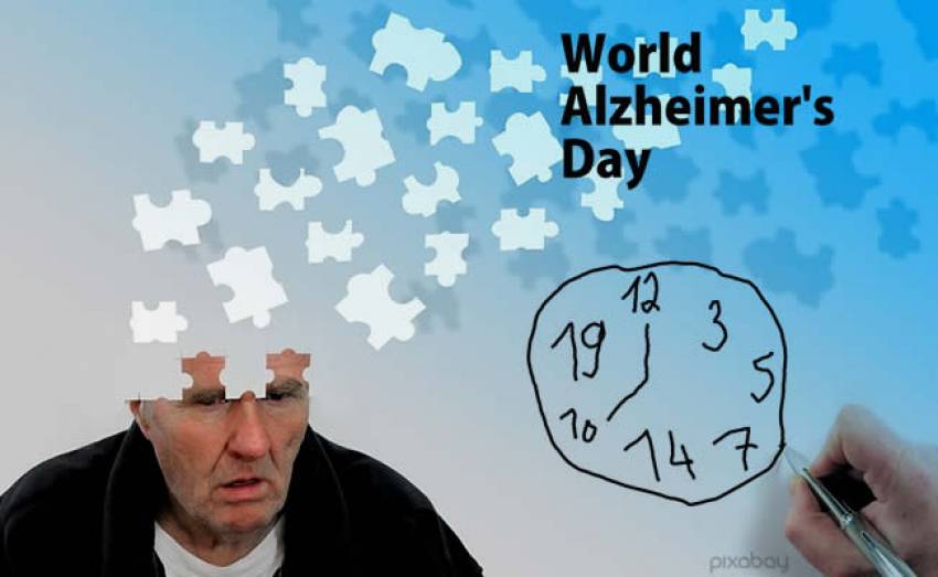 Открыта причина «болезни Альцгеймера»
