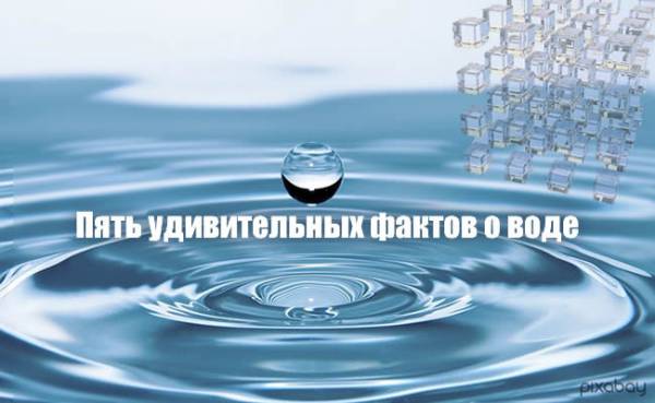 Вода - пять удивительных фактов