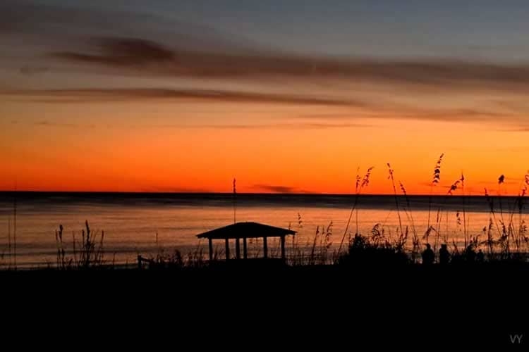 Гениальные афоризмы Сони Шаталовой с аутизмом