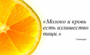 Мудрец Гиппократ