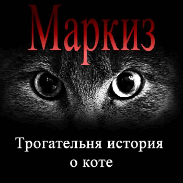 Кот Маркиз